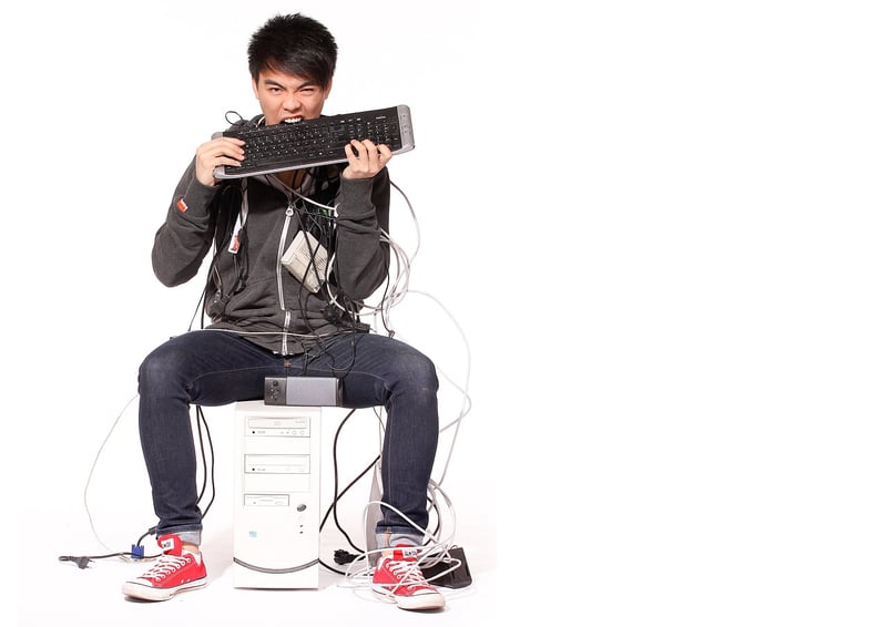 Online Fitness Programs