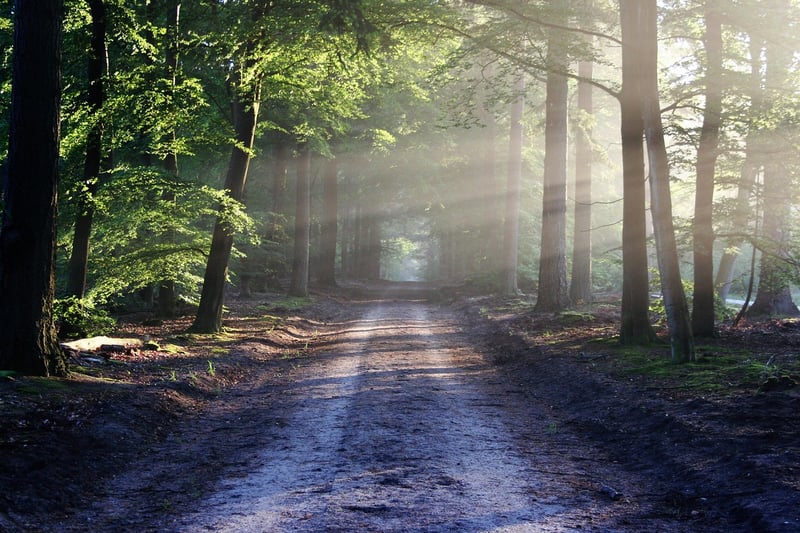 Hiking Image